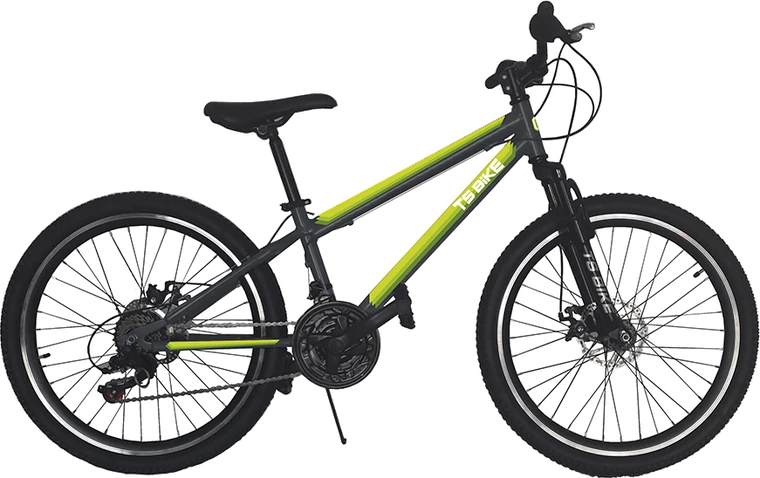 Bicicleta TS Bike Aro 24 Acero