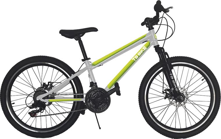 Bicicleta TS Bike Aro 24 Acero