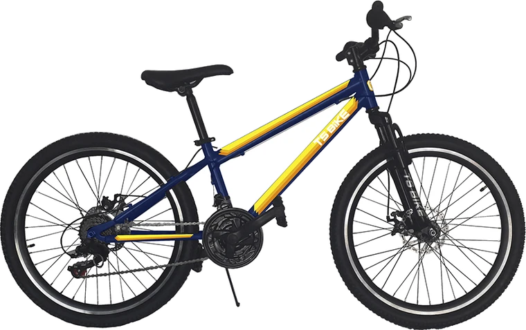 Bicicleta TS Bike Aro 24 Acero
