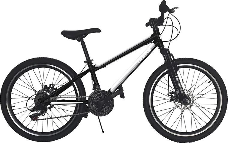 Bicicleta TS Bike Aro 24 Acero