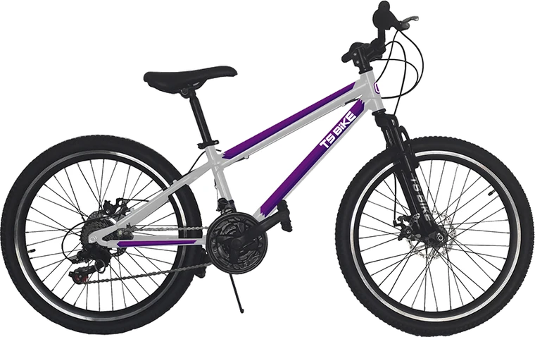 Bicicleta TS Bike Aro 24 Acero