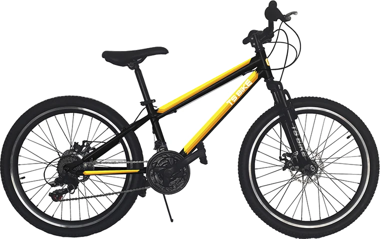 Bicicleta TS Bike Aro 24 Acero