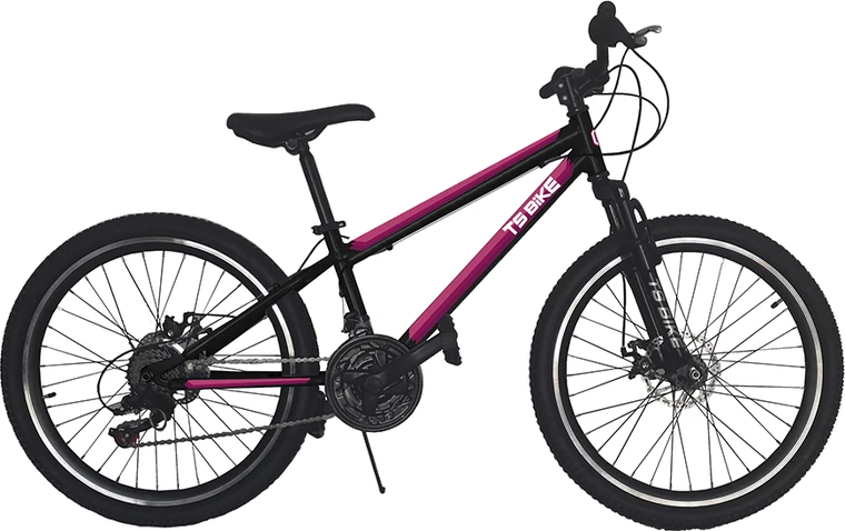Bicicleta TS Bike Aro 24 Acero