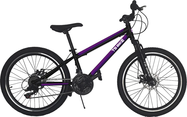 Bicicleta TS Bike Aro 24 Acero