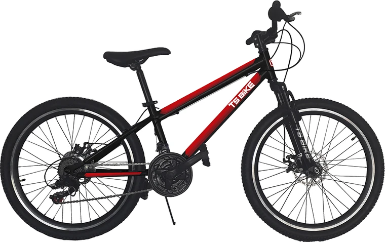 Bicicleta TS Bike Aro 24 Acero