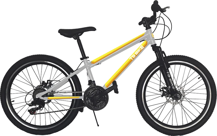 Bicicleta TS Bike Aro 24 Acero