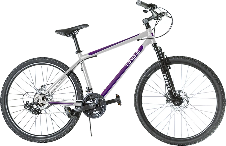 Bicicleta TS Bike Aro 26 Acero