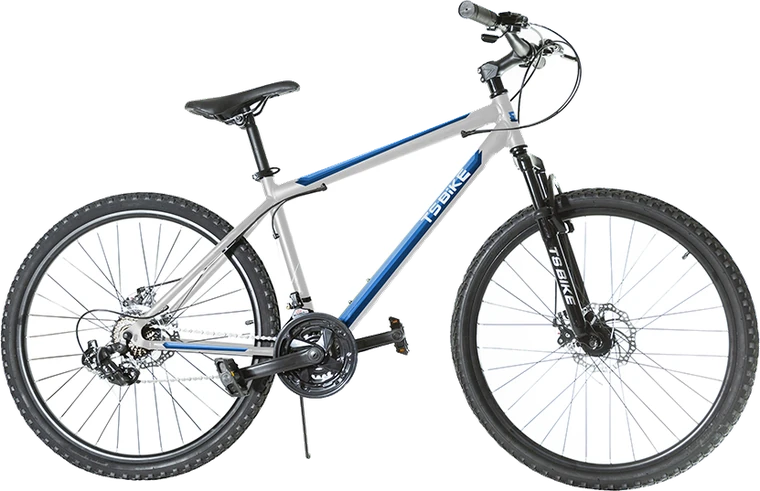 Bicicleta TS Bike Aro 26 Acero