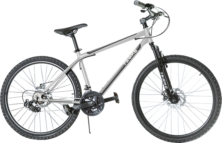 Bicicleta TS Bike Aro 26 Acero