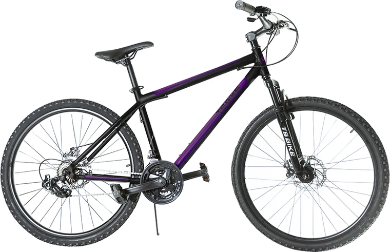 Bicicleta TS Bike Aro 26 Acero