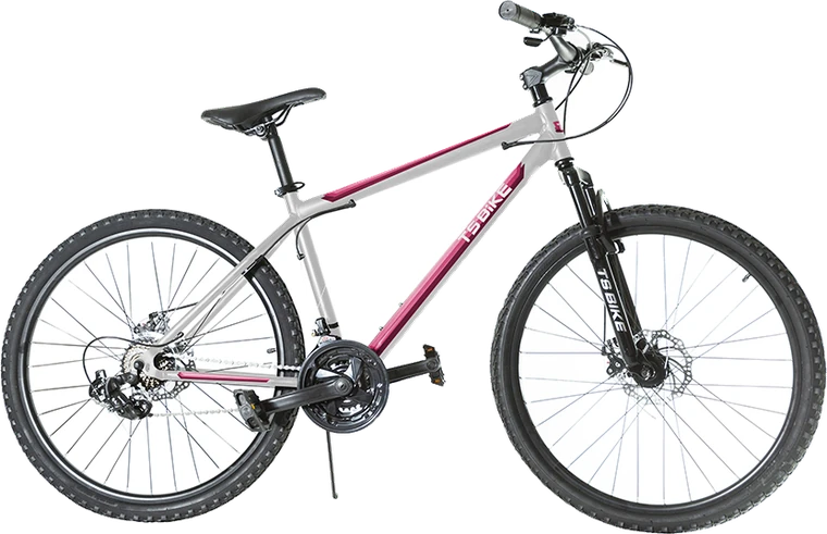 Bicicleta TS Bike Aro 26 Acero
