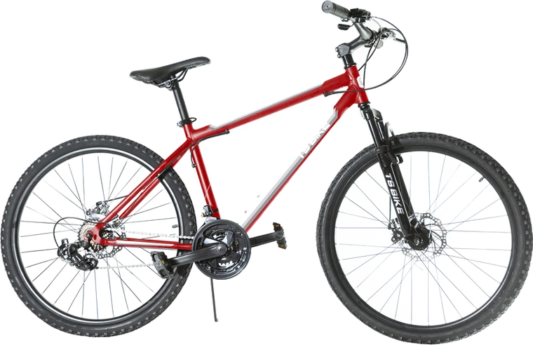 Bicicleta TS Bike Aro 29 Acero