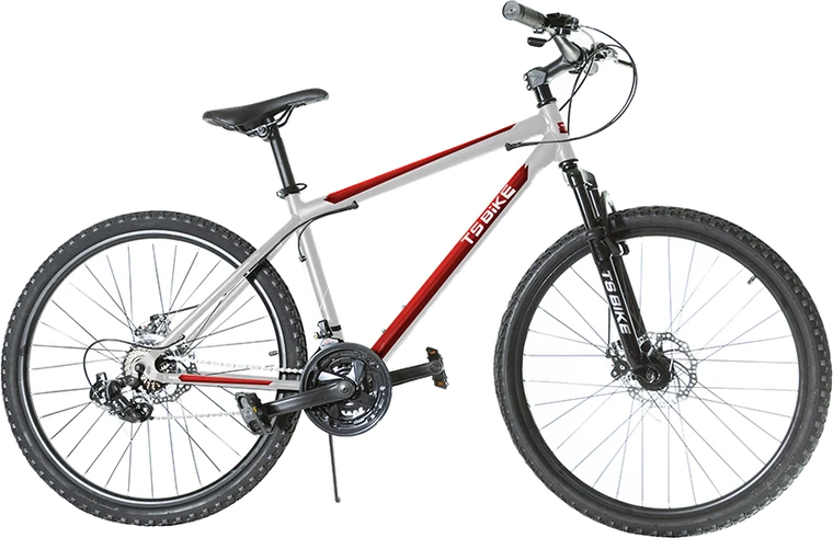 Bicicleta TS Bike Aro 29 Acero