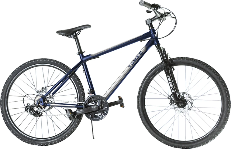 Bicicleta TS Bike Aro 29 Acero