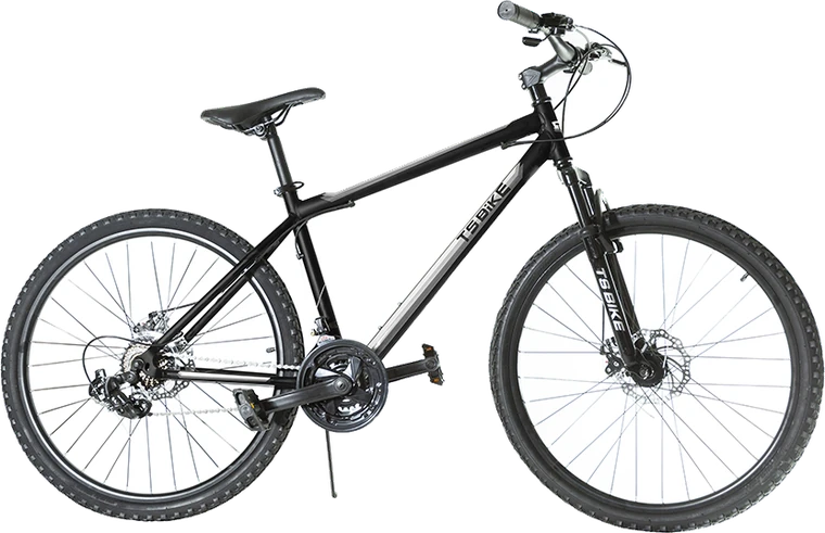 Bicicleta TS Bike Aro 29 Acero