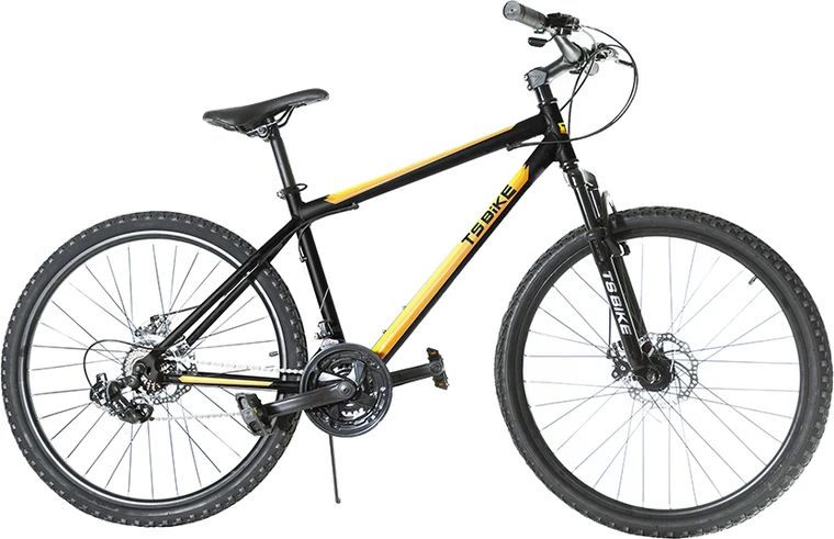 Bicicleta TS Bike Aro 29 Acero