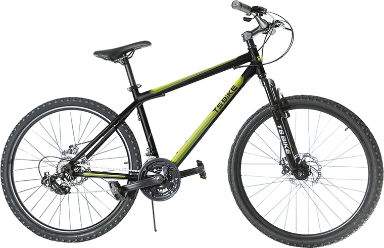 Bicicleta TS Bike Aro 29 Acero