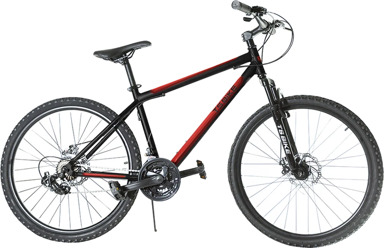 Bicicleta TS Bike Aro 29 Acero